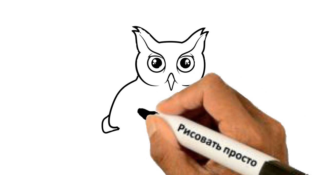 Как нарисовать сову мем