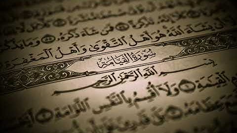 قراءة خاشعة سورة القيامة وليد الدليمي