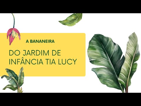 Atividade do Período Integral – Cultivando a Bananeira: Uma História Contada pelas Crianças