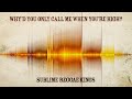 Why&#39;d You Only Call Me When You&#39;re High? Original By Arctic Monkeys (Reggae Cover)