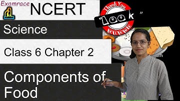 NCERT Class 6 Science Chapter 2: Components of Food (NSO/NSTSE/Olympiad) doorsteptutor.com