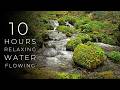 Fall Asleep Naturally (10 Hours) Peaceful River Sounds