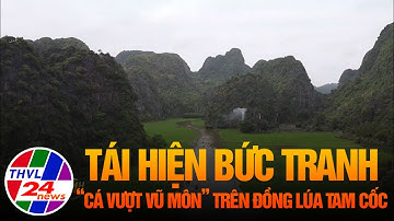 Tái hiện bức tranh “Cá vượt vũ môn" trên đồng lúa Tam Cốc