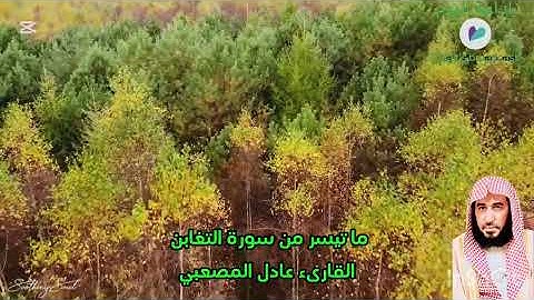أواخر سورة التغابن القارئ عادل حسين المصعبي