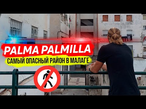Video: Talo Palmilla