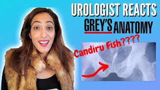 Urologist Reacts To Grey's Anatomy | Painful Scrotum & Candiru Fish in the Penis?