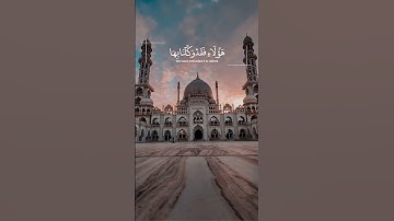 مقطع رائعا تلاوة خاشع من الشیخ حامد ولی زاده