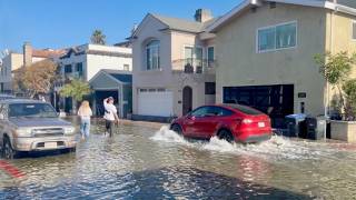 ALL TIME HIGH Sea Levels recorded in Newport Beach: Kelvin Wave and King Tides flood Homes