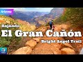 Bajando El Gran Cañón del Colorado (ARIZONA): Descenso Guía Completa de Hiking | USA#12