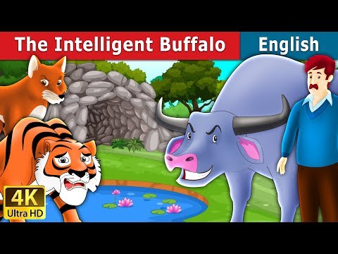 Intelligent Buffalo in English | Stories for Teenagers | English Fairy Tales