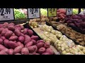 Grocery Shopping in Clayton Town ( Melbourne Vlog 16 )