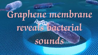 Graphene Membrane Reveals Bacterial Sounds