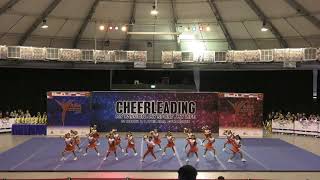 ACIC 2018 Team 47  Team Blue