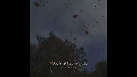 سورة الحجرات 🌺 قرآن كريم.. القارئ عبد الرحمن مسعد.. حالات واتساب