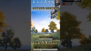 Autumn Weather In Old Zarki. -Plays