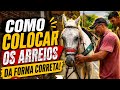 Como colocar os arreios da forma correta no cavalo!