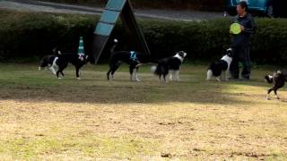 H25 2 3のあ、そら、ビュート、あくび