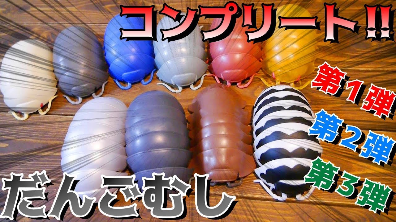 だんごむしガチャ 見てみて 巨大ダンゴムシコンプリートしたの の巻 Youtube