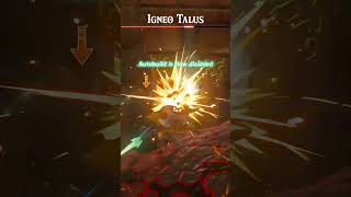 Bombermeans Are So Mean! 💥 #zelda #tearsofthekingdom #randomizer