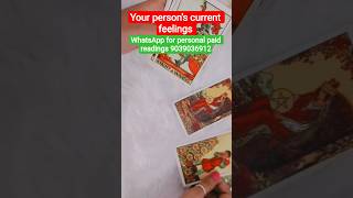 your person's current feelings#viral#tarot#tarotreading#trending#trend#sh#viralshorts#viralvideo