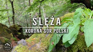 Ślęża - Masyw Ślęży  - Korona Gór Polski (9/28) 08.2020