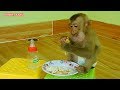 Baby Monkey Kako Enjoying Fried Egg With Rice For Breakfast | Baby Monkey Eat Fried Egg