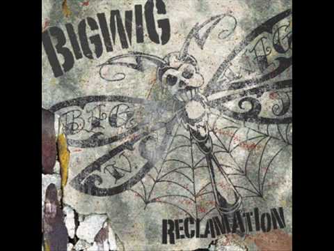 Bigwig - Outer Rings