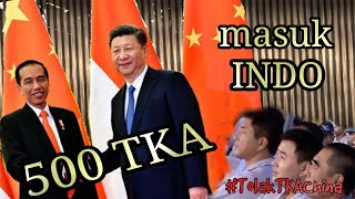 500 TKA CHINA MASUK INDONESIA DITENGAH PANDEMI, ADA APA DENGAN PEMERINTAH INDONESIA SAAT INI ???
