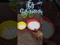 Neer Dosa (CWC) recipe 👌🫰//நீர் தோசை 😋😋#food #cwc#cooking #recipe #shorts