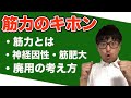 【筋トレ】今さら聞けない、筋力の基礎を解説