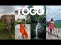 Lagos To Togo Travel Vlog Top Things To Do In Togo Djamdè Elephant Reserve Kpalimé Waterfalls 