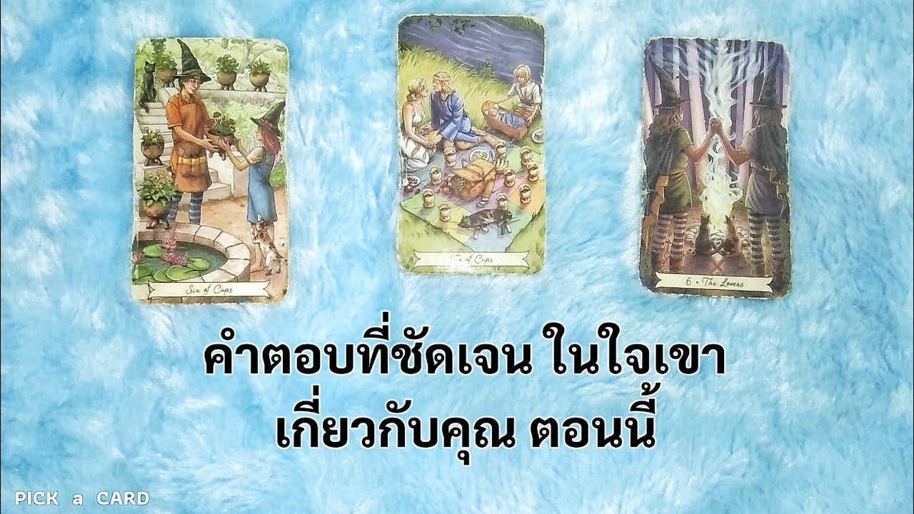 🦉PICK A CARD🔮: คำตอบที่ชัดเจนในใจเขา เกี่ยวกับคุณตอนนี้🙈🙉🖤🤍 | Timeless