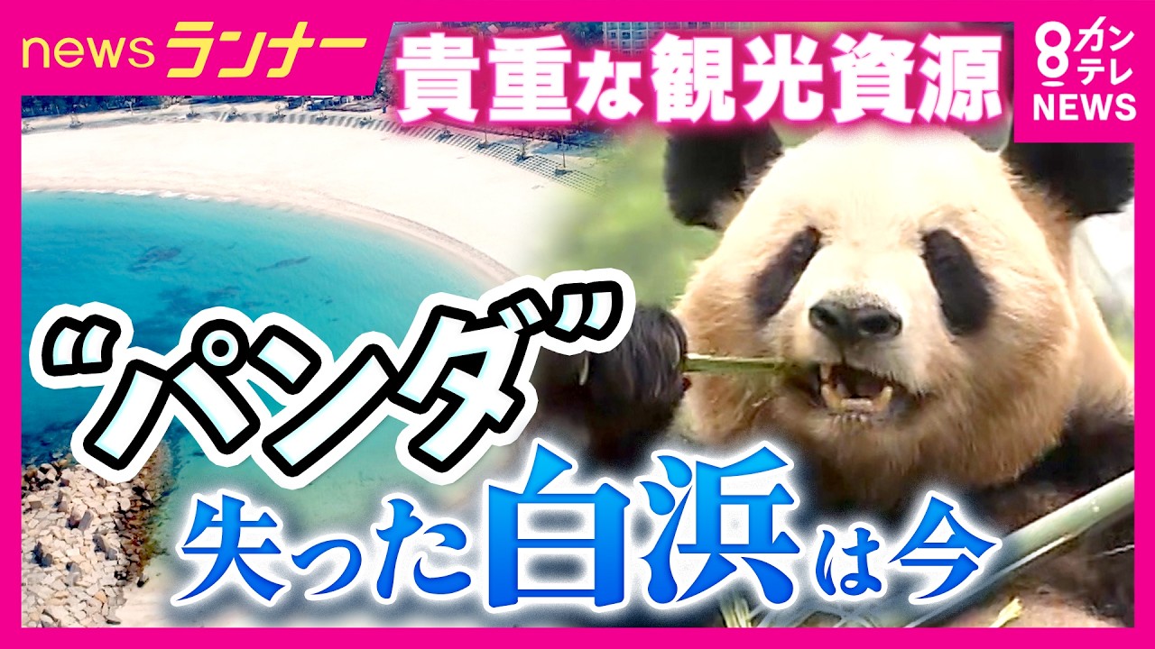 Even without pandas, visitor numbers remain strong in Shirahama