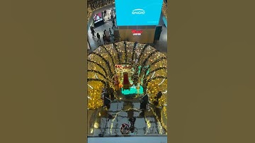 #egzonibrahimi #سورة_الإخلاص #ikhlas #flowers #اكسبلور #love #travel #trending