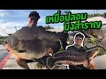 เหยื่อปลอมบึงสำราญ EP.1 "เปคูจานบินยักษ์" Lure Fishing Bungsamran