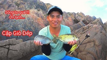 Câu Cá Biển, Câu Cá, Câu Ghềnh, Câu Cá Biển Tự Nhiên : Cá Giò Dép, Cá Giò, Giật Cặp Nhánh