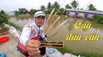 FISHING . CHIA SẺ CÁCH CÂU ĐẦU CẦN TRONG CÂU ĐÀI.