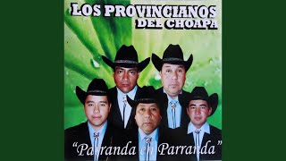 Video thumbnail of "Los Provincianos del Choapa - En Dónde Andarás"