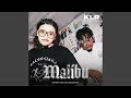 Malibu (feat. Wally A$M)