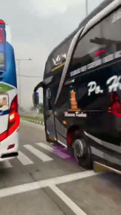 cinematic bus PO haryanto capolista #vedeobus