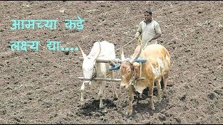 Shetkari Bachao Sangatna :- शेतकरी बचाओ संघटना (Latest Marathi Song)