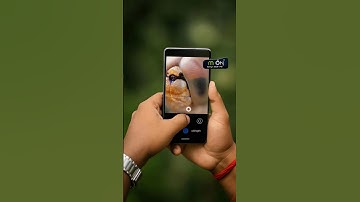 How to Shoot Compound Eyes of Dragonfly 😍 #macro #photography #tipsandtricks