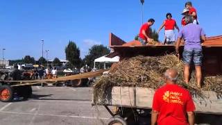 Dimostrazione trebbiatura con macchine d'epoca