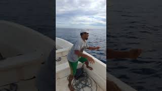 Di Perairan Pulau Bando