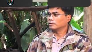 DVB - 29.06.2011 - Interview