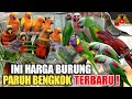 INI HARGA BURUNG PARUH BENGKOK TERBARU DI PASAR BURUNG PRAMUKA