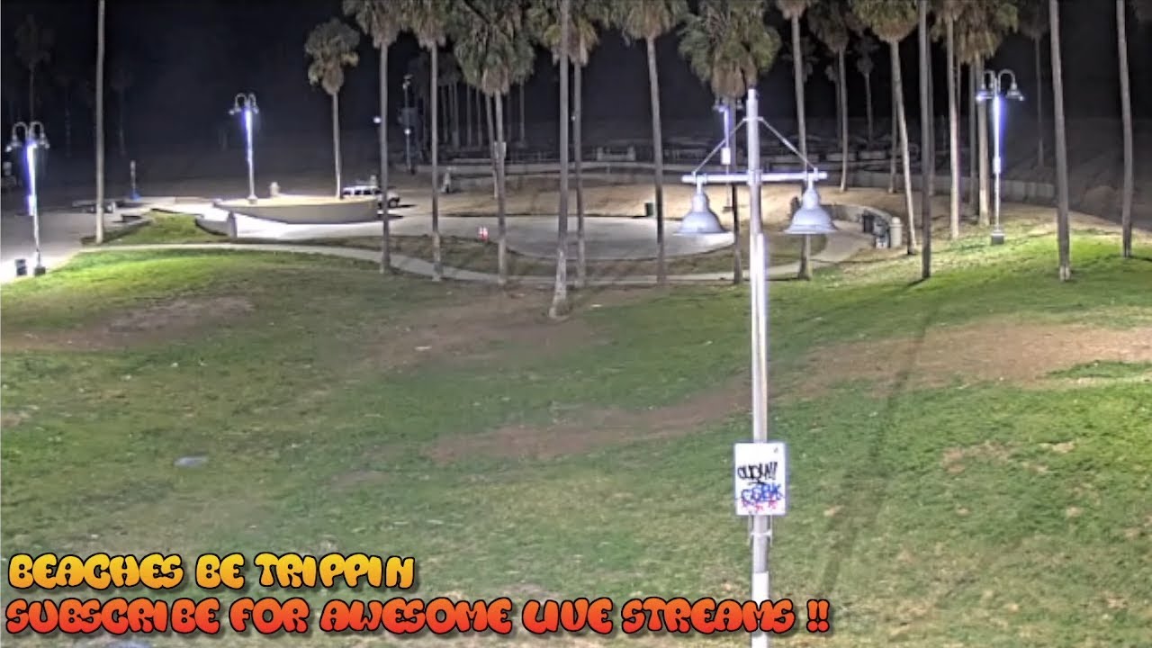 Venice Beach cam Venice Beach Live Cam venice beach live