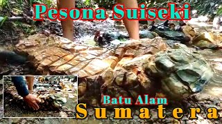 Hunting for Suiseki in the River (Nature of Sumatra)