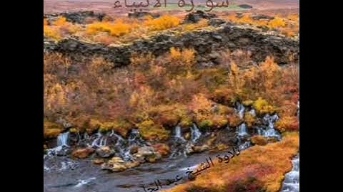 تلاوة خاشعة للشيخ عبد الحليم يماني-صلاة التراويح 2019 - سورة الأنبياء -