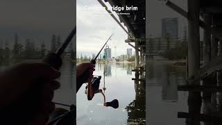 Canning bridge giant with my mate Asher. Subscribe to see if I get it in!!🎣🎣💪👍 screenshot 3